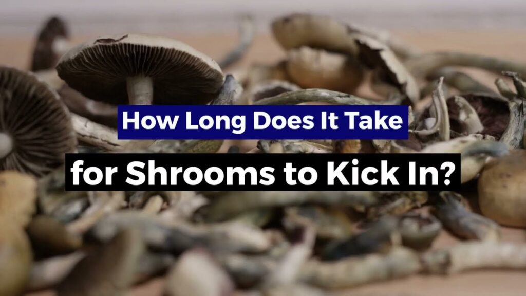 How Long Does It Take for Shrooms to Kick In
